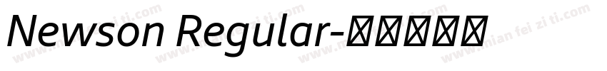 Newson Regular字体转换
